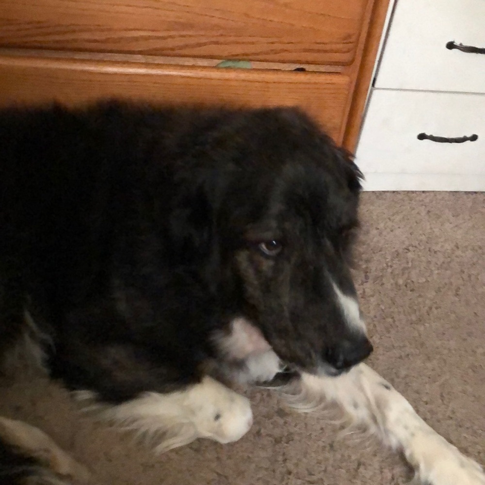 Meet your Posher, Tracy